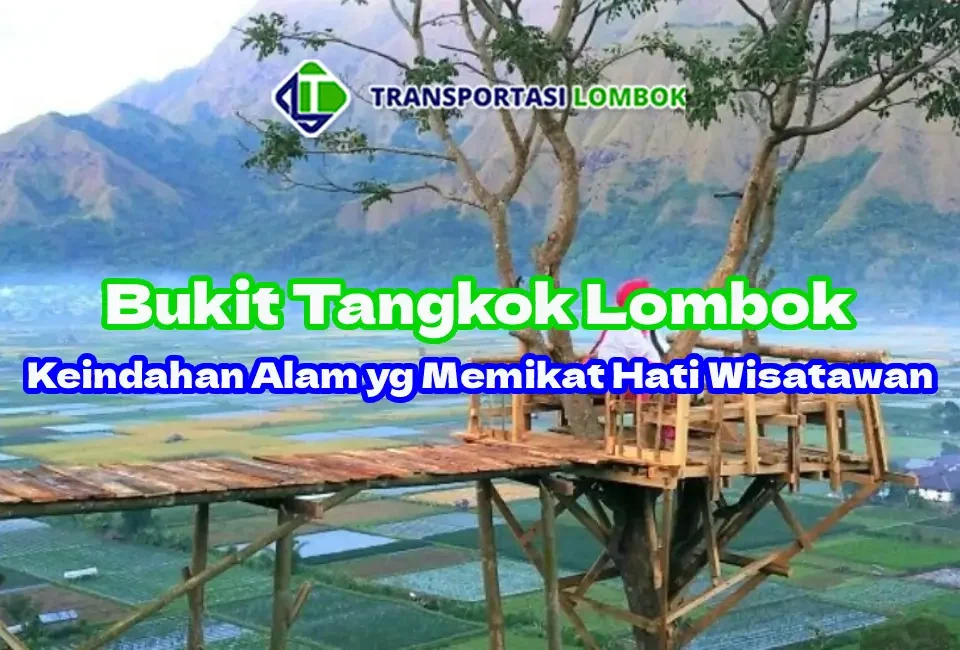 Bukit Tangkok berada di Desa Sembalun Lawang, Kecamatan Sembalun, Kabupaten Lombok Timur. Lokasi ini berada pada ketinggian sekitar 1.100 mdpl